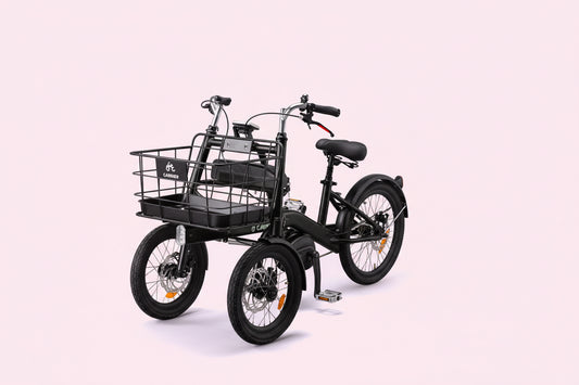 CARRIER内装三段変速（ブラック）欠品中　５月上旬入荷予定